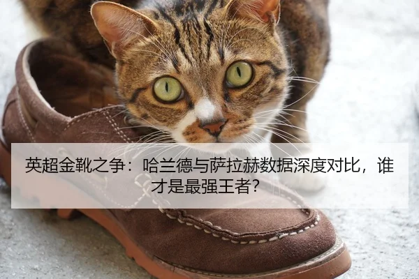 英超金靴之争：哈兰德与萨拉赫数据深度对比，谁才是最强王者？